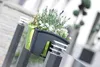 Prosperplast Blumenkasten CROWN Weiß 24,2 cm Produktbild-Vorschau 21