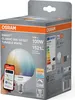 Osram Smart+ Globelampe dimmbar G95 E27/14W(100W) weiß 1521 Produktbild-Vorschau 7