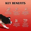 GILPA Kennel - trockenfutter für Hunde - 15kg Produktbild-Vorschau 4