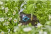 Gardena Reihentropfer regulierbar Produktbild-Vorschau 10