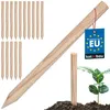 KOTARBAU® 15er Set Pflanzstäbe 40cm Tomaten & Gurken Produktbild-Vorschau 1