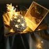 A decorative pineapple lamp with fairy lights and a card with a picture of tulips and a camera. Produktbild-Vorschau