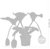 Medinilla magnefica - Kwiat klastrowy - Roślina doniczkowa Podgląd zdjęcia produktu 5