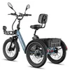 FAFREES F20 Mate II Rower elektryczny - Silnik 250W Podgląd zdjęcia produktu 2