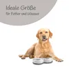 Set di 2 ciotole in ceramica per cani ( grigio / 400 ml ) Anteprima dell’immagine prodotto 7