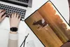 MuchoWow® Laptop Hülle 15 Zoll Kuh - Sonne - Tiere Produktbild-Vorschau 2