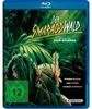 Der Smaragdwald Náhľad obrázku produktu 1