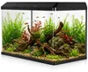 Kruger Meier LAORIA Panoramic 600 - Aquarium 60l mit Produktbild-Vorschau 17