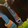 Ruffwear Front Range™ Hundehalsband Produktbild-Vorschau 12