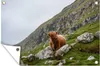 MuchoWow® Produktbild-Vorschau 1