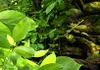 Akustikbild Landschaft 200x100 cm Bilder Akustikschaum Produktbild-Vorschau 3