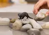schleich WILD LIFE 14865, 3 Jahr(e), Forest, Wild animals / Produktbild-Vorschau 3
