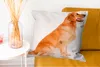 MuchoWow® Zierkissen Sofakissen Wohnzimmer Dekokissen 60x60 Produktbild-Vorschau 6