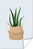 MuchoWow® Poster Pflanze - Aloe Vera - Blumentopf 20x30 cm Produktbild-Vorschau 1