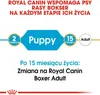 Royal Canin Boxer Junior, Szczenięta, Boxer, Maxi (26 - 44 Podgląd zdjęcia produktu 9