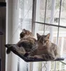 Dracarys Katzen hängematte Fenster | für große Katzen bis Produktbild-Vorschau 1