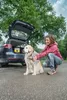 Kärcher Mobile Outdoor Cleaner OC 3 + Pet Produktbild-Vorschau 4
