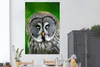 MuchoWow® Poster Vogel - Eule - Tiere - Braun - Porträt Produktbild-Vorschau 2