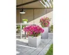 Fioriera LECHUZA CANTO Stone 40 High stone grey | fioriera Anteprima dell’immagine prodotto 38