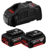 Pack 2 Batteries 5,0 Ah BOSCH 1600A00B8J GBA 18V + Chargeur Voir les images du produit 4
