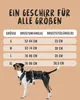 A size chart for a dog harness with a dog model wearing the harness. Produktbild-Vorschau