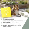 REAVET Zink Tabletten für Hunde 120 Stück – Hochdosiert mit Produktbild-Vorschau 6