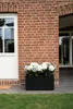 VIVANNO Pflanztrog Fiberglas MAXI ROUND Kasten, Anthrazit Produktbild-Vorschau 2