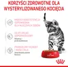 ROYAL CANIN FHN Kitten Sterilised - mokra karma dla kociąt Podgląd zdjęcia produktu 5