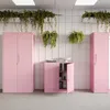 A modern office space with pink metal cabinets and hanging plants. Podgląd zdjęcia produktu