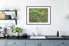 MuchoWow® MuchoWow® Gerahmtes Poster Langes Gras mit Produktbild-Vorschau 4