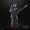 Sw Bl Dlx Paz Vizsla Anteprima dell’immagine prodotto 14