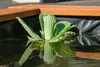 dobar Gartenteich "Hexagon", pflegeleichter Hochteich inkl. Produktbild-Vorschau 9