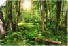 ARTland Poster Wald Größe: 120x80 cm Produktbild-Vorschau 1