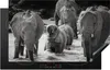 KitchenYeah© Herdabdeckplatte Elefant - Tiere - Wasser - Produktbild-Vorschau 1
