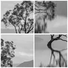 Poster - Poster ohne Rahmen - Baum Symmetrie See - 40x40 cm Produktbild-Vorschau 8