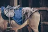 Kentucky Horsewear Ausreitdecke All Weather mit künstlichem Produktbild-Vorschau 2