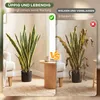 SUGIFT, plante artificielle en pot, Sansevieria Voir les images du produit 8