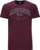 Übergrößen T-Shirt Harrisburg Grau AHORN SPORTSWEAR Maroon Produktbild-Vorschau 1