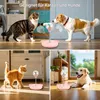 Interaktives Katzenspielzeug, 2 IN 1 Katzen Spielzeug mit Produktbild-Vorschau 4