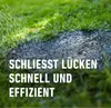 COMPO SAAT® Rasen-Reparatur Mix 360 g für 15 m² Produktbild-Vorschau 5