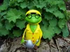Zaunhocker Regen Frosch Gießkanne Produktbild-Vorschau 1