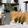 A tall, textured gray planter with a green plant sits on a gravel patio next to a woven basket. Tall, dry grass and white stones are in the background, with a white building behind them. Voir les images du produit