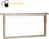30x Rähmchen Zander Ganzzarge 220 mm Modifiziert Produktbild-Vorschau 1