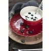 A red ceramic bowl filled with yogurt, blueberries, and sunflower seeds, placed on a red plate and a wooden board. Produktbild-Vorschau