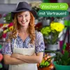 6 x Midori Boden-Feuchtigkeitsmesser Messgerät Hygrometer Produktbild-Vorschau 7