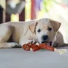Relaxdays Giocattolo per cani a forma di salsiccia, per Anteprima dell’immagine prodotto 3