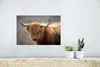 MuchoWow® Poster Schottisches Hochlandrind - Hörner - Haare Produktbild-Vorschau 5