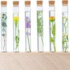 30er Reagenzgl?ser Kunststoff Transparent Mit Korken Produktbild-Vorschau 5