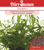 Dürr-Samen - Estragon - Saatgut - 0177 Produktbild-Vorschau 2