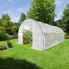 A white greenhouse tunnel filled with tomato plants sits on a green lawn, surrounded by trees and a blue sky. Anteprima dell’immagine prodotto